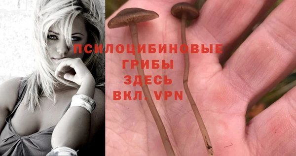 бутират Горно-Алтайск
