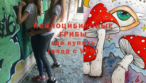 соль ск Сатка