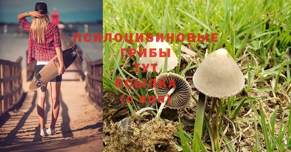 а пвп мука Горнозаводск
